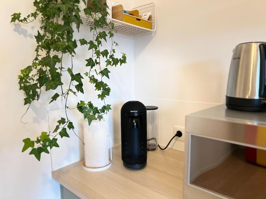 Duplex Chic Et Spacieux - Hypercentre Appartement