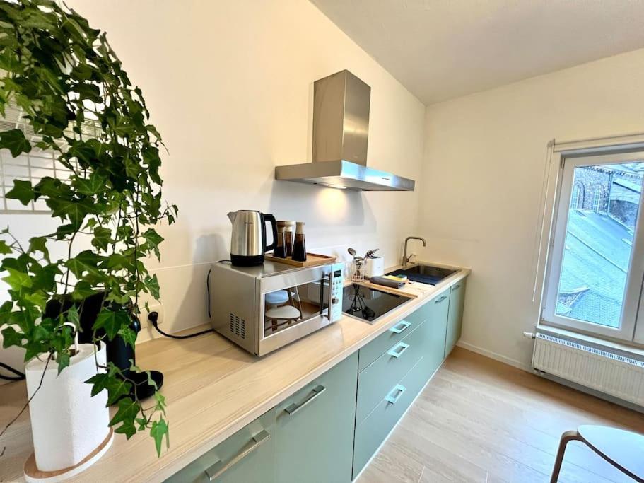 Duplex Chic Et Spacieux - Hypercentre Appartement Liège